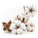 Hair Guru London cotton hair fibres microscope close up